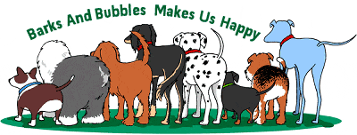 dog grooming shop